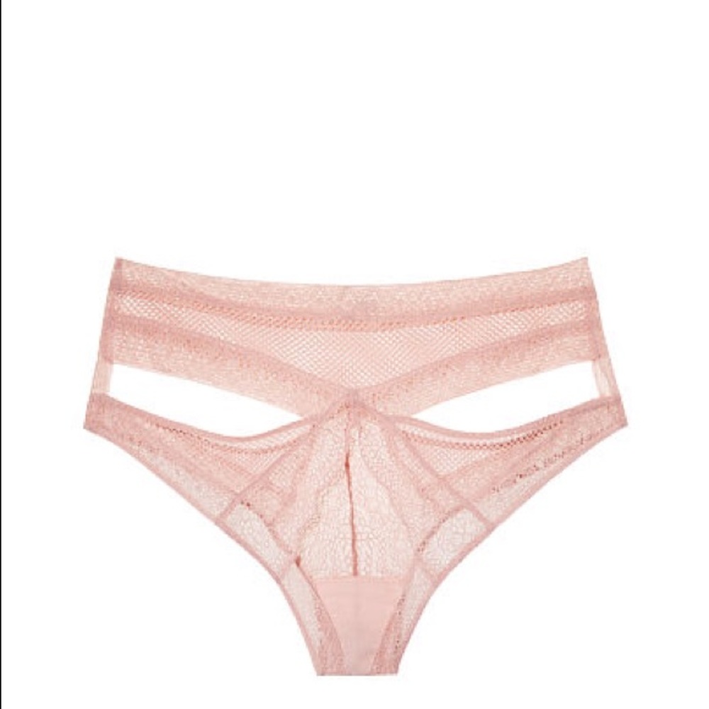 Nude VS Fishnet Lace Cutout Cheekini Panty - Picture 4 of 6